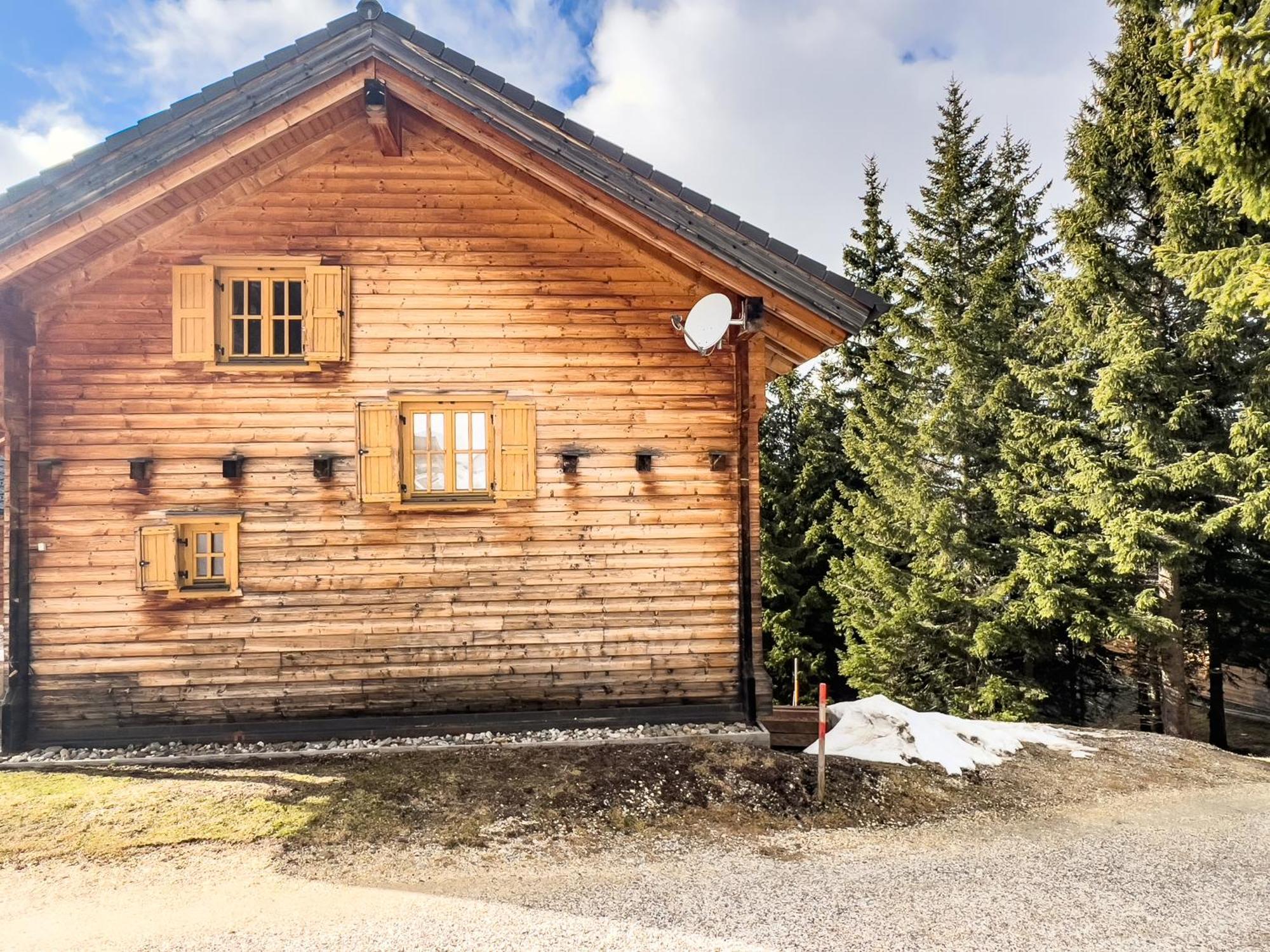 1A Chalet Enzianhuette - Ski Fahren Und Indoor Sauna Elsenbrunn Exterior foto