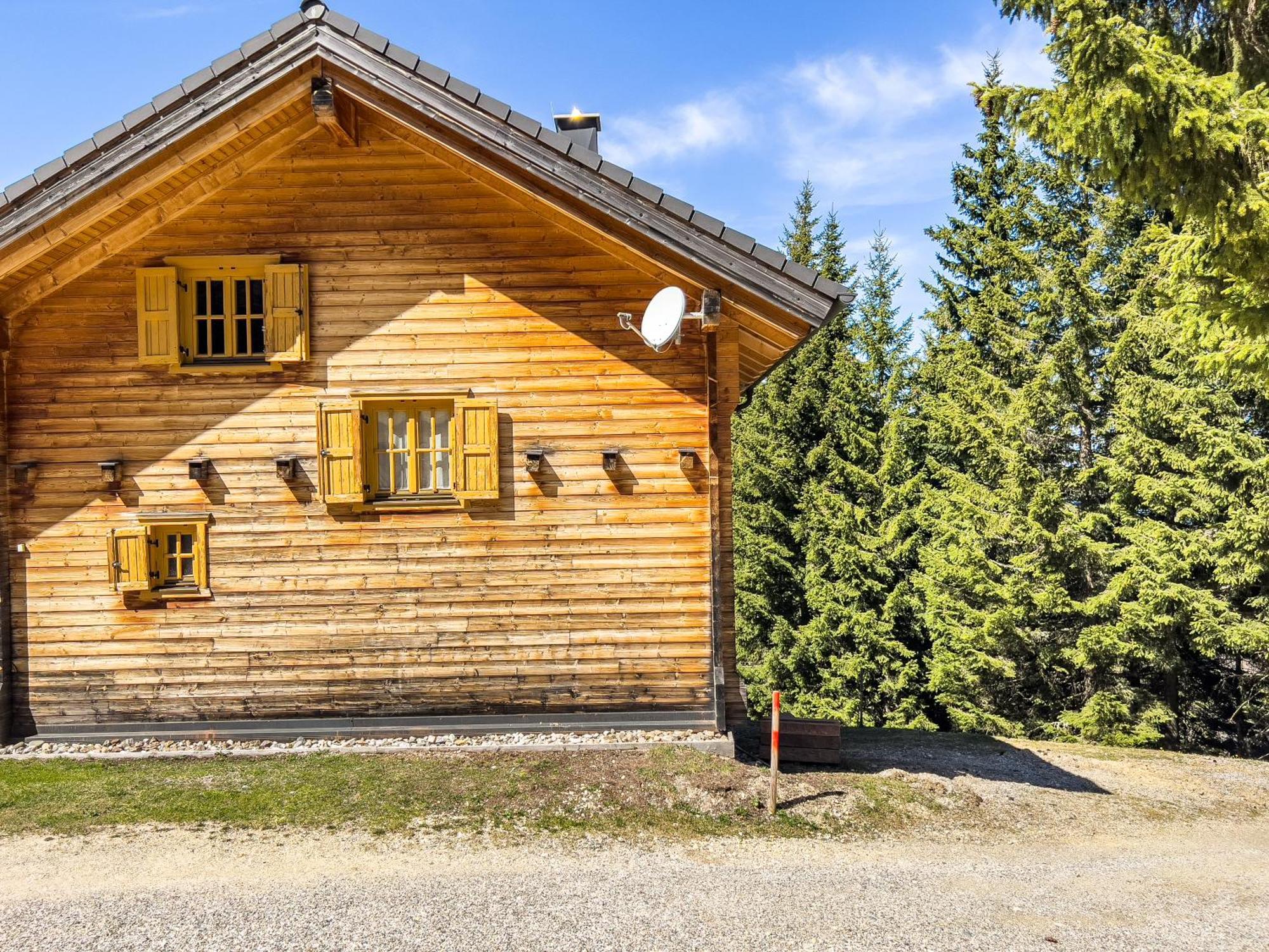 1A Chalet Enzianhuette - Ski Fahren Und Indoor Sauna Elsenbrunn Exterior foto