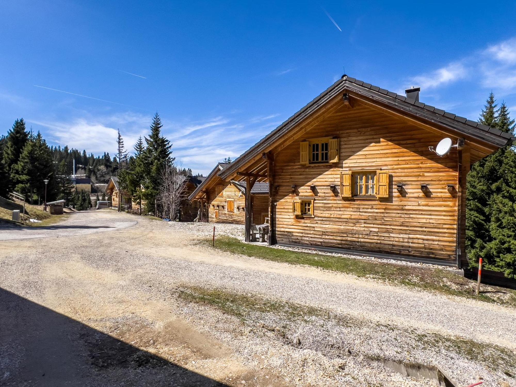 1A Chalet Enzianhuette - Ski Fahren Und Indoor Sauna Elsenbrunn Exterior foto