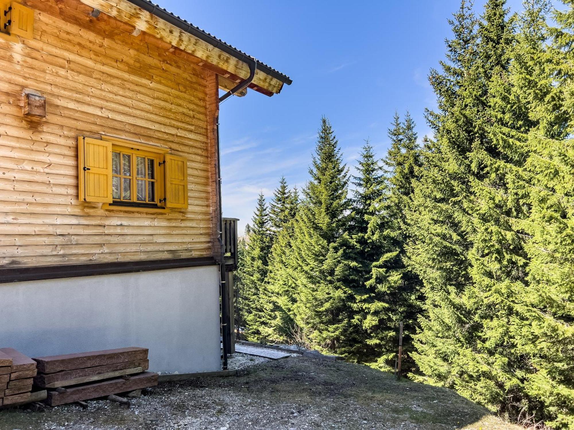 1A Chalet Enzianhuette - Ski Fahren Und Indoor Sauna Elsenbrunn Exterior foto